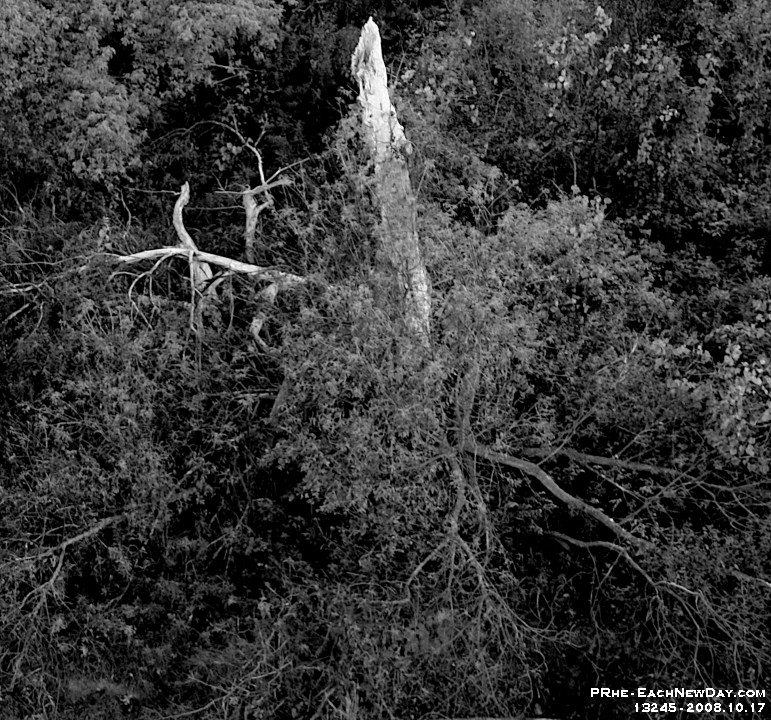 13245CrBwLeShUsmNr - Autumn colours in Rouge Valley Conservation Area